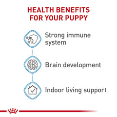 Royal Canin DHA favorece desarrollo cerebral del cachorro