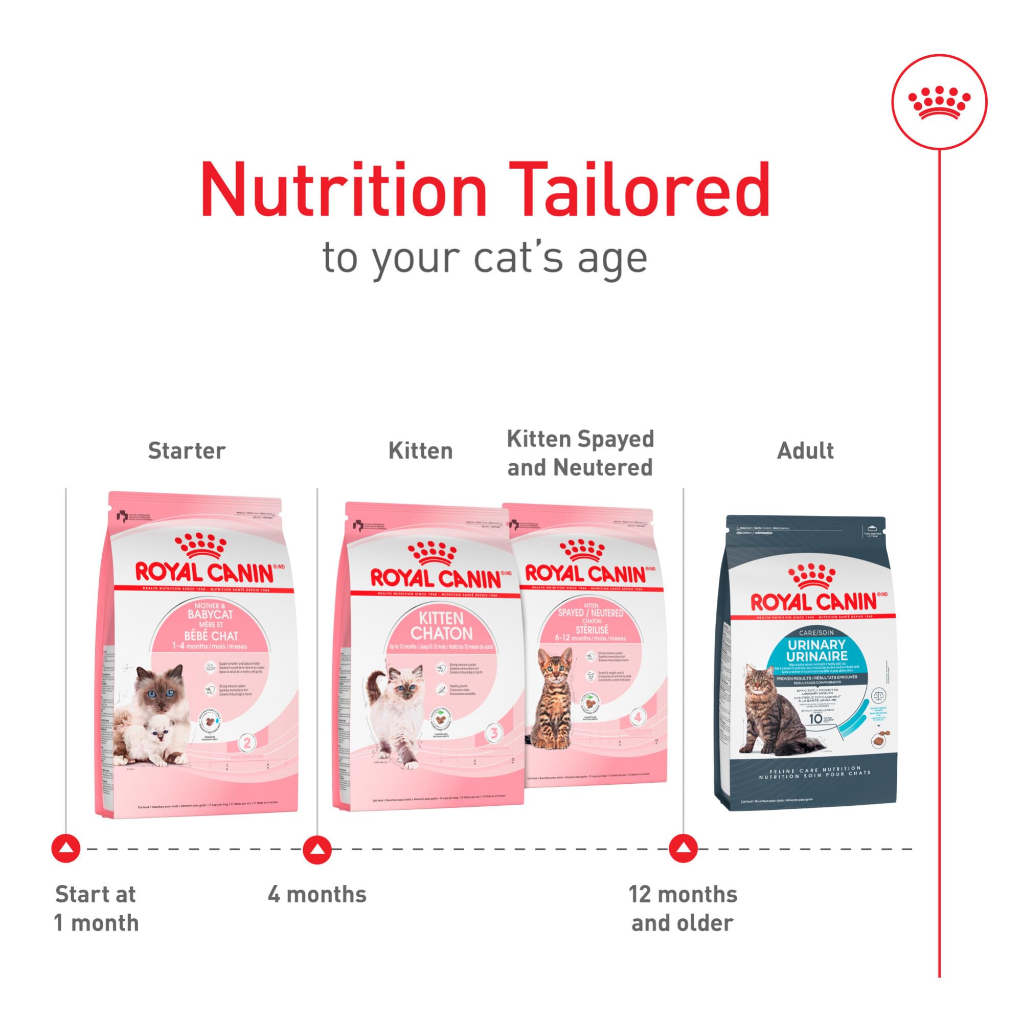 Royal Canin dientes en desarrollo, croquetas pequeñas para gatitos.