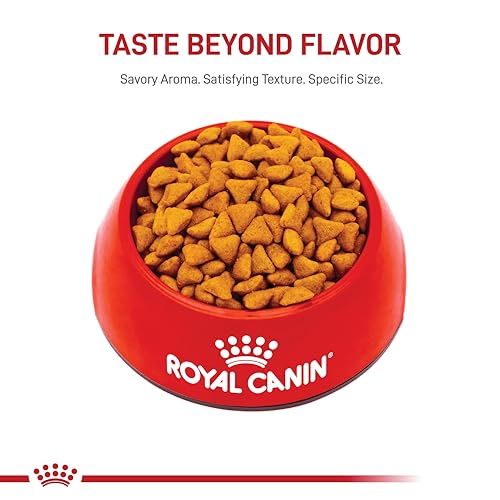 Royal Canin Salud Felina Interior alimento seco para gatos adultos.