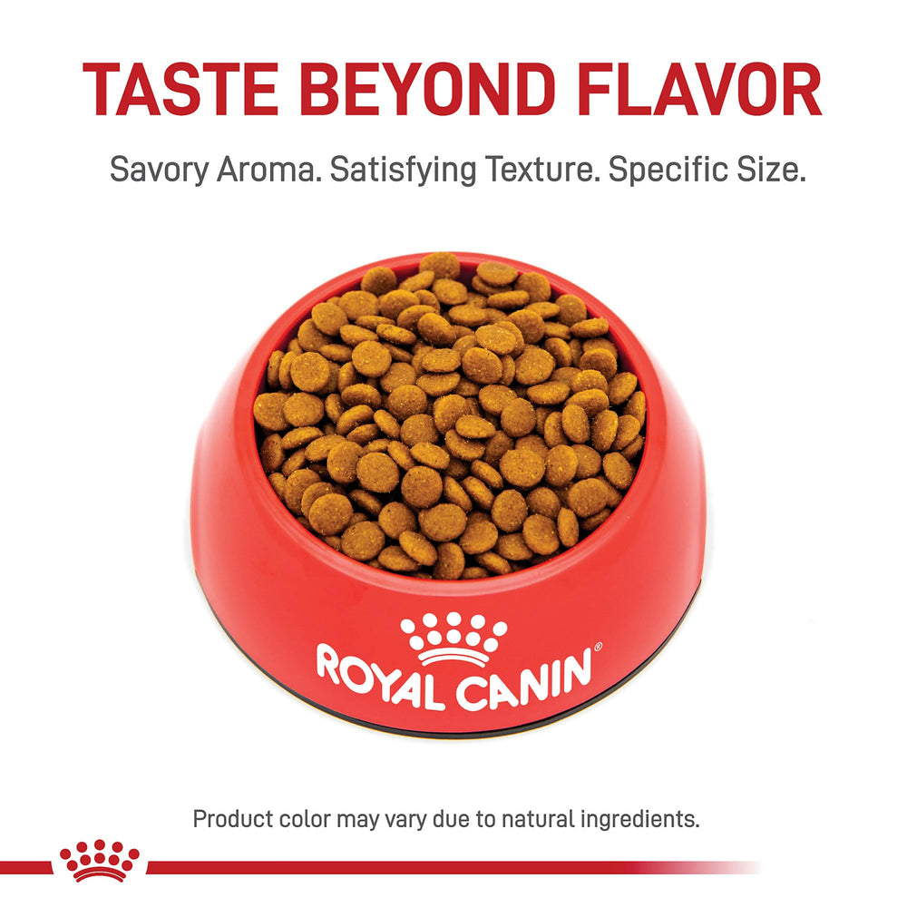 ROYAL CANIN: alimento seco diseñado para gatos adultos con piel sensible.