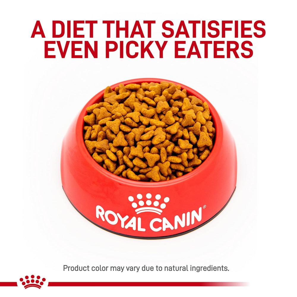 Proteínas digestibles y prebióticos para apoyo digestivo de ROYAL CANIN