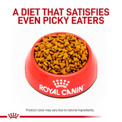 Proteínas digestibles y prebióticos para apoyo digestivo de ROYAL CANIN