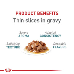 ROYAL CANIN digestion-facilitada: proteína de alta digestibilidad para gatos adultos.