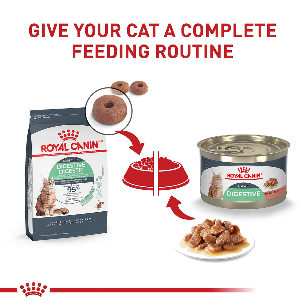 Royal Canin Digestive Care: gato disfrutando la cena suave y sabrosa