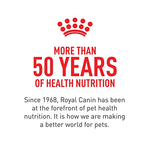Royal Canin Digestive Care: porciones en lata que favorecen la saciedad y sabor.