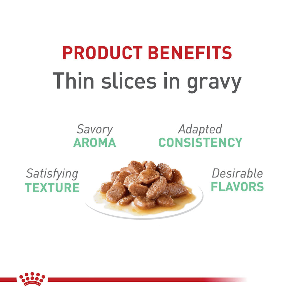 Royal Canin Digestive Care: sabor sutil en salsa para una experiencia agradable.