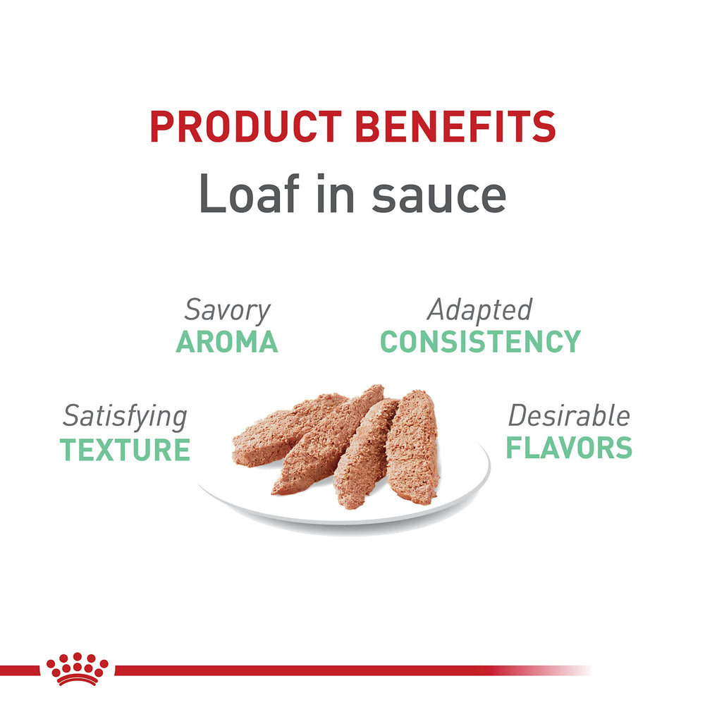 Royal Canin Digestive Care Loaf en Sauce: aroma agradable que facilita la hora de comer.
