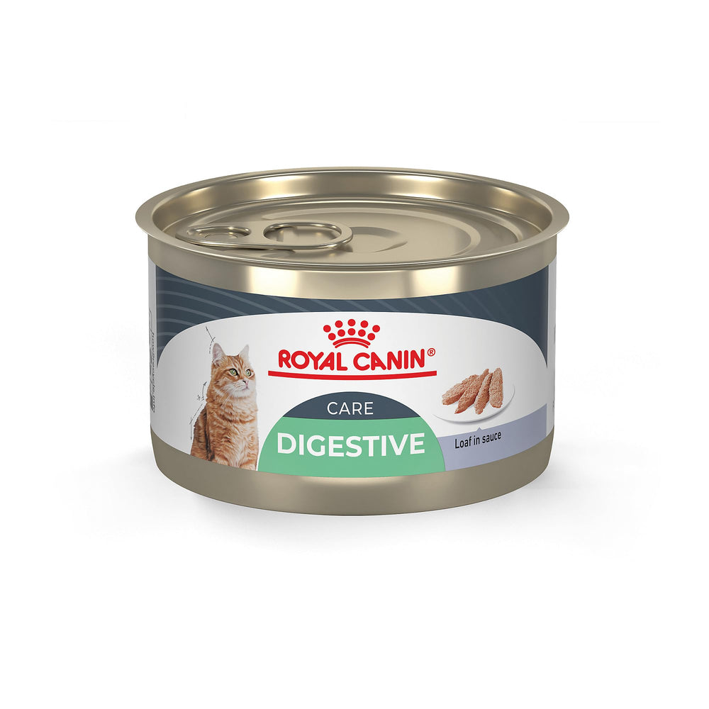Royal Canin Digestive Care Loaf en Sauce para gatos: textura cremosa que facilita la alimentación diaria.
