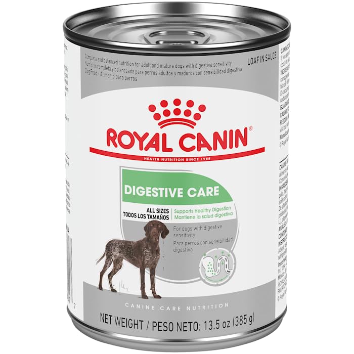 Raciones con salsa de Royal Canin Digestive Care para una experiencia suave.