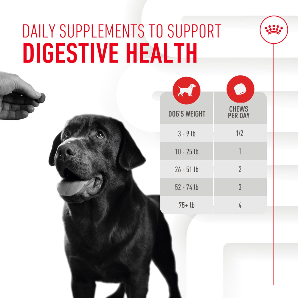 Textura suave de Royal Canin facilita la ingesta en perros adultos