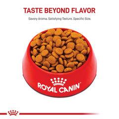 Croquetas de Royal Canin Digestivo Medio con fórmula fácilmente digerible