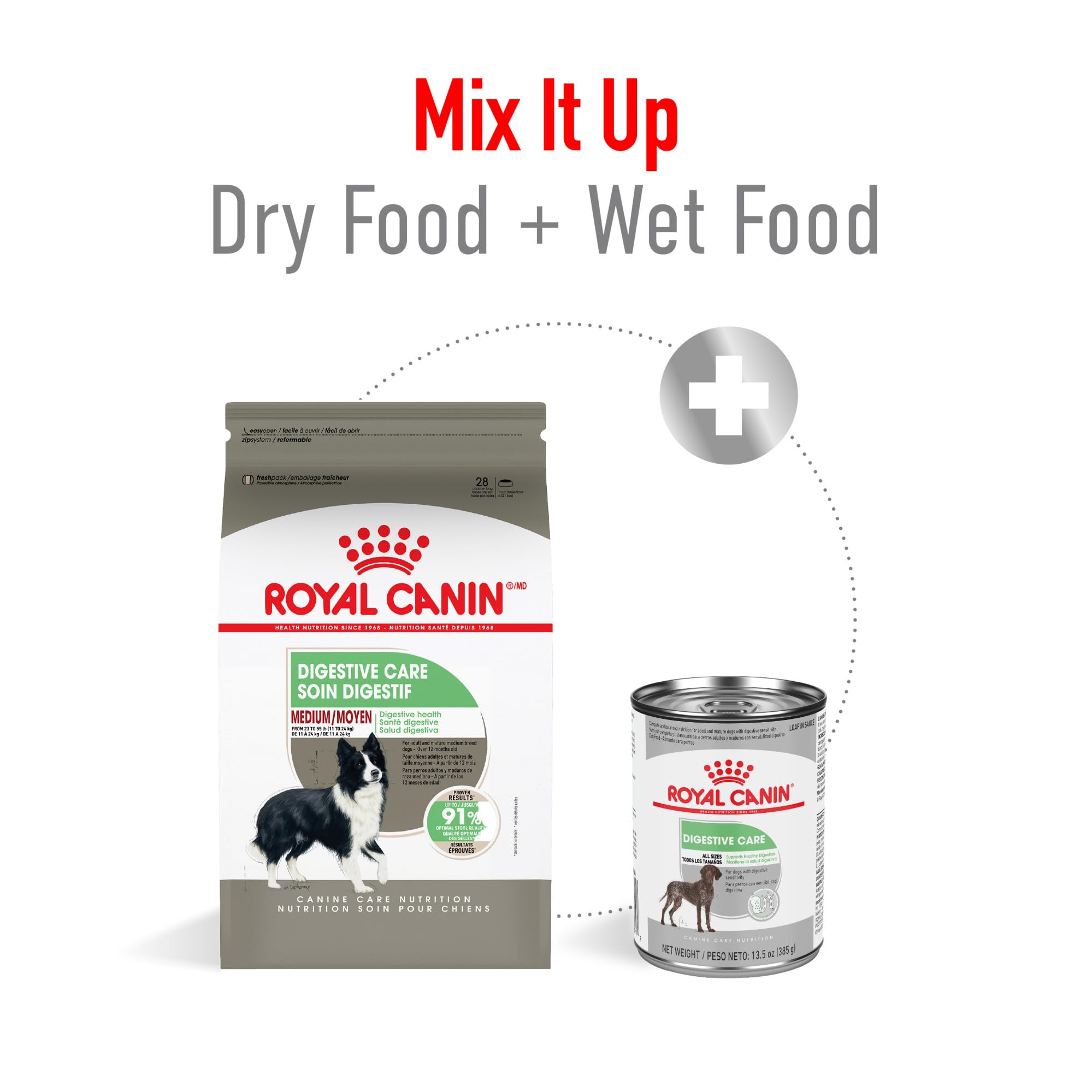 Perro mediano comiendo con placer gracias a Royal Canin Digestivo Medio