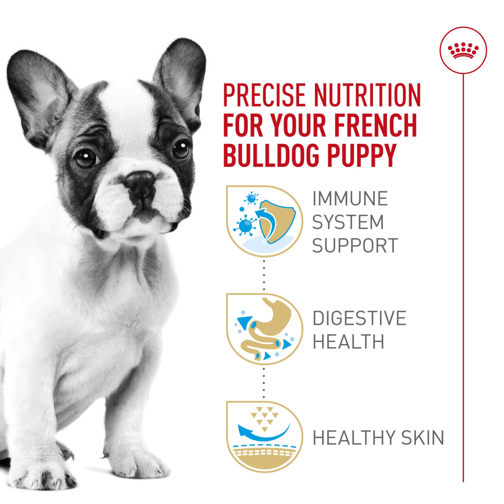 Prebióticos y digestión equilibrada para la salud digestiva del cachorro bulldog francés.