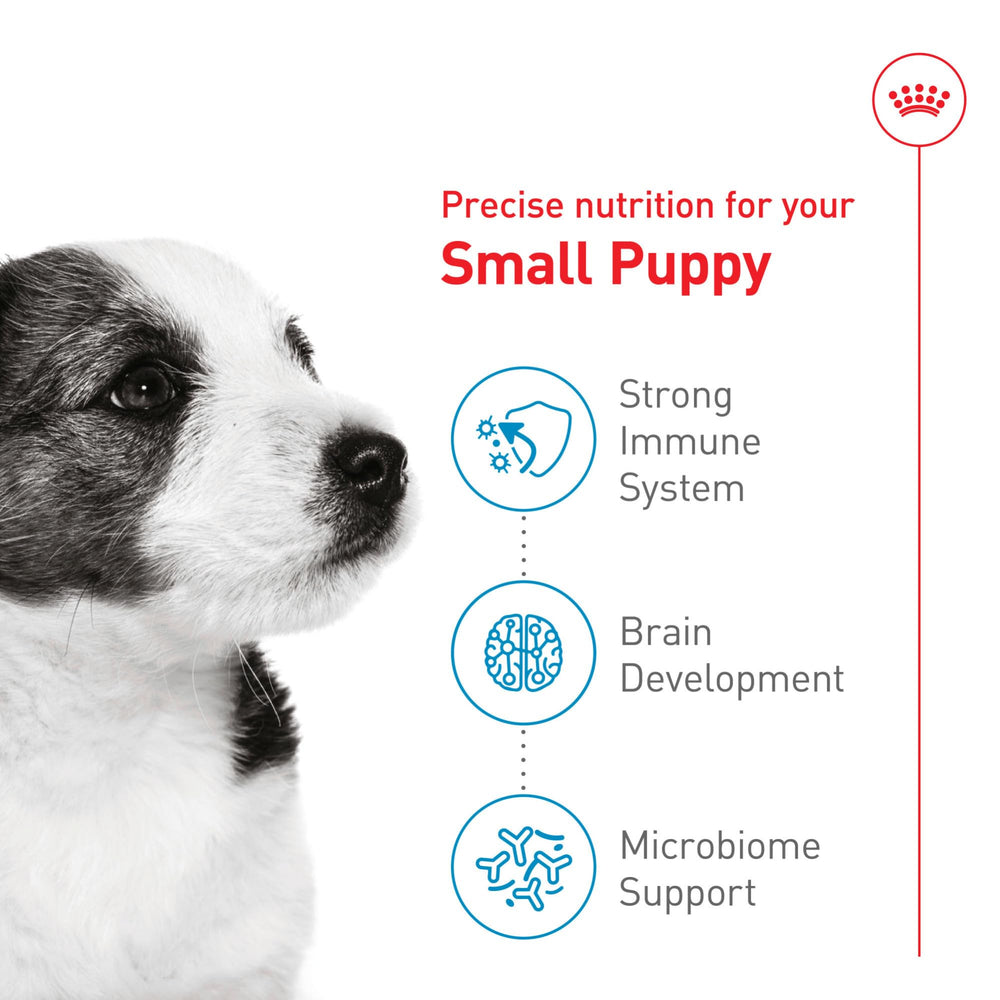 Royal Canin aporta energía y desarrollo para cachorros de razas pequeñas.