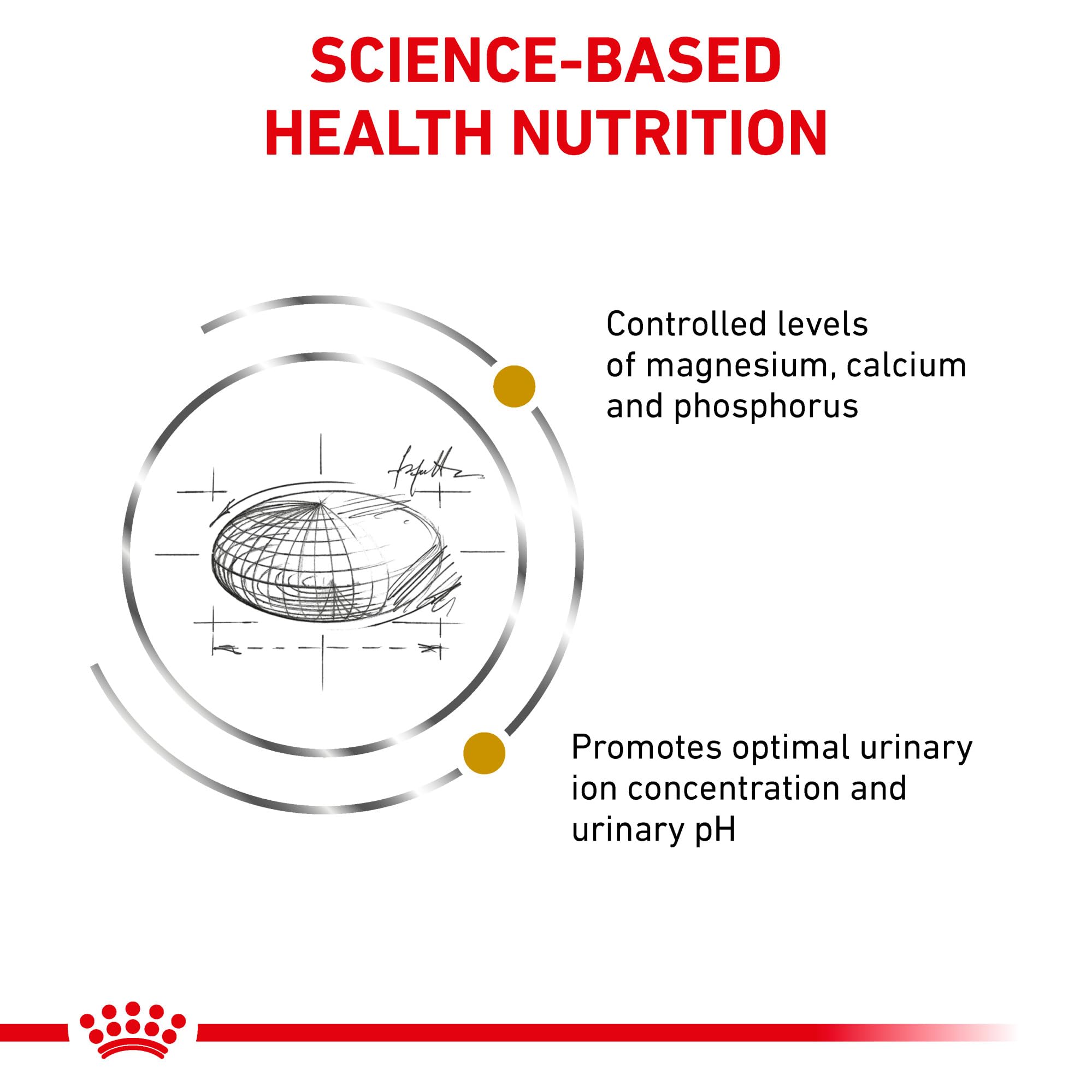 Ingredientes clave de ROYAL CANIN Feline URINARY SO Seco para gatos adultos.