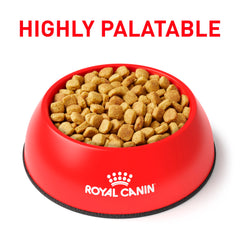 Fibra digestiva especial apoya la digestión sensible en perros adultos, Royal Canin bolsa 7.7 lb.