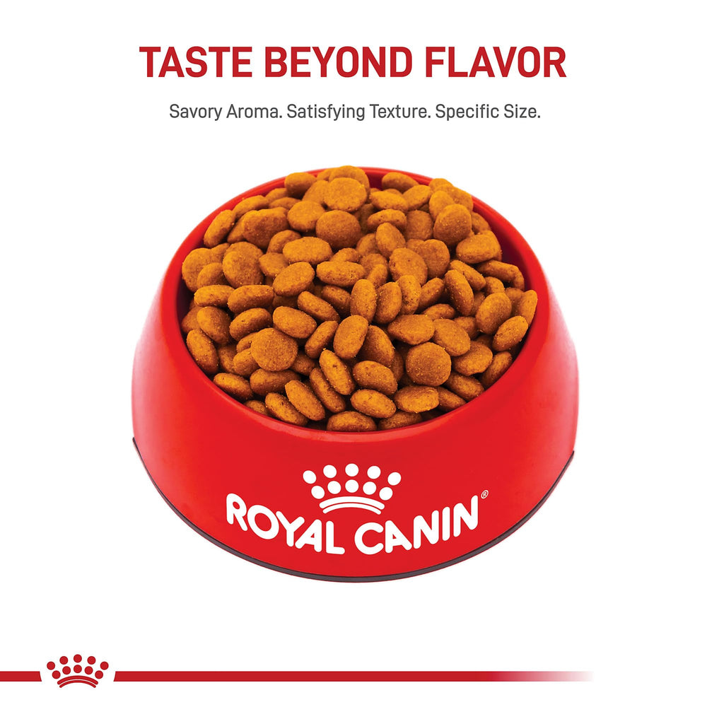 Royal Canin fibras y mezclas para mejor absorción de nutrientes.