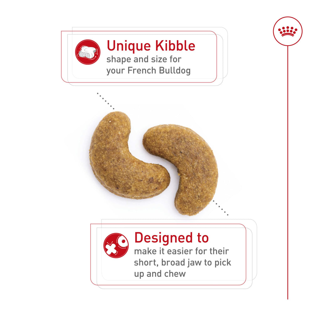 Royal Canin proteína y L-carnitina para músculo saludable en Bulldog Francés