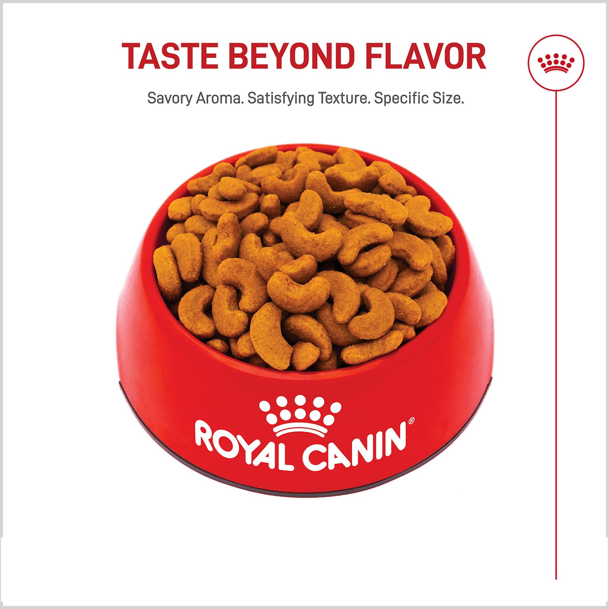 Royal Canin nutrición precisa para Bulldog Francés adulto