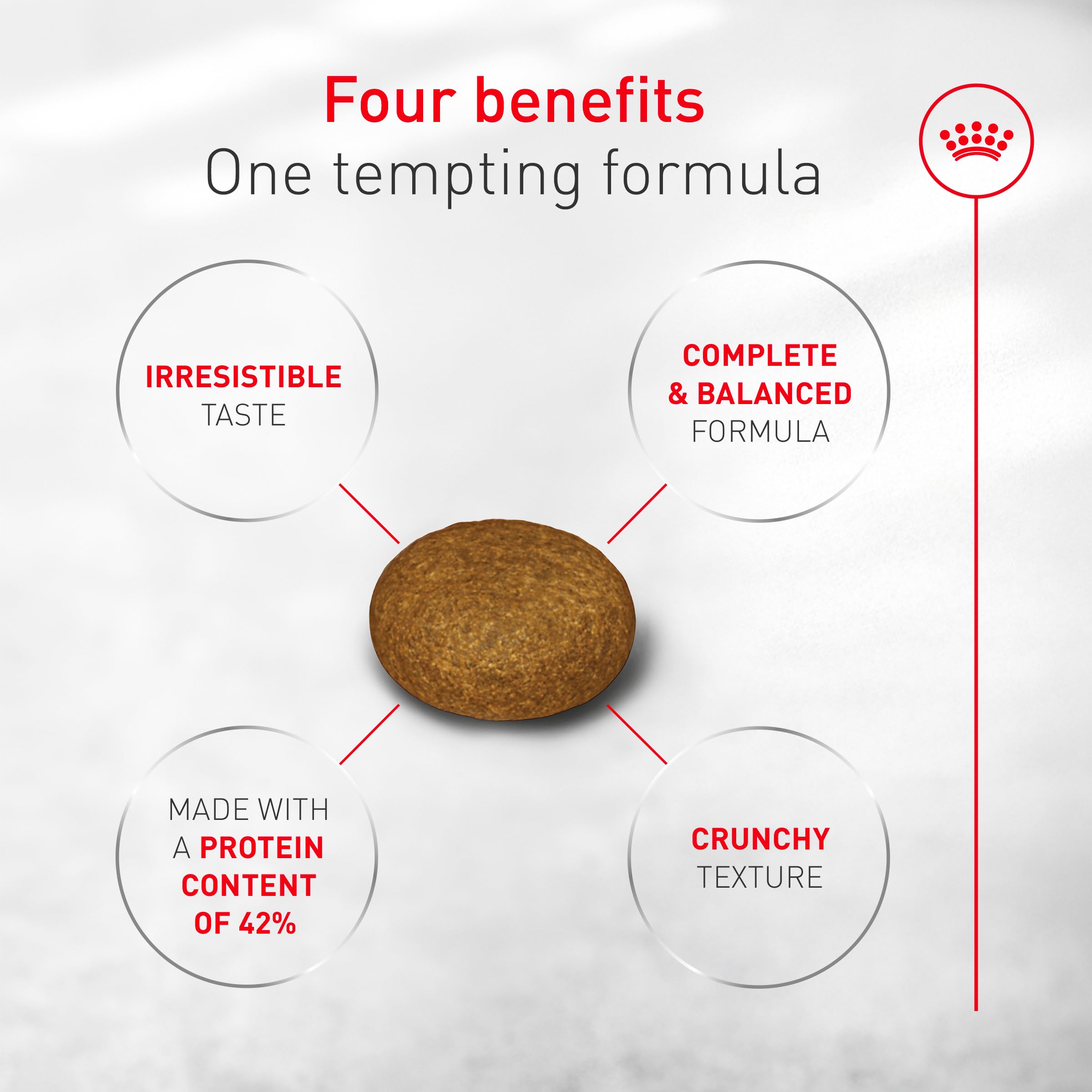 ROYAL CANIN Fussy gato interior-exterior, apto para felinos activos.