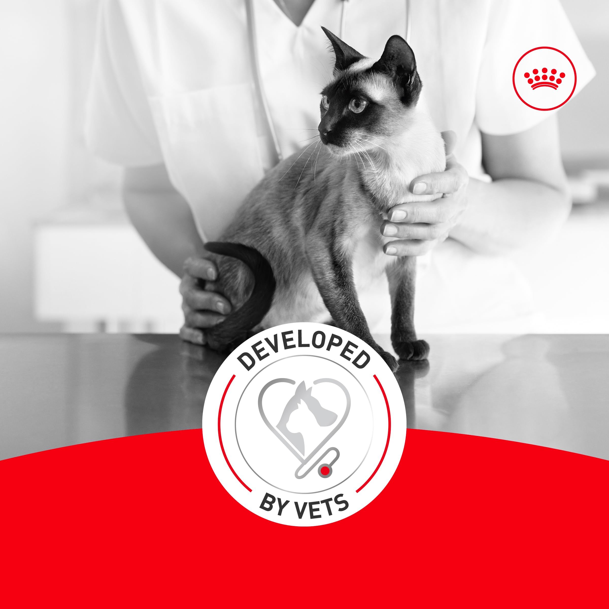 ROYAL CANIN Fussy transición 7-10 días, guía de ración en envase.