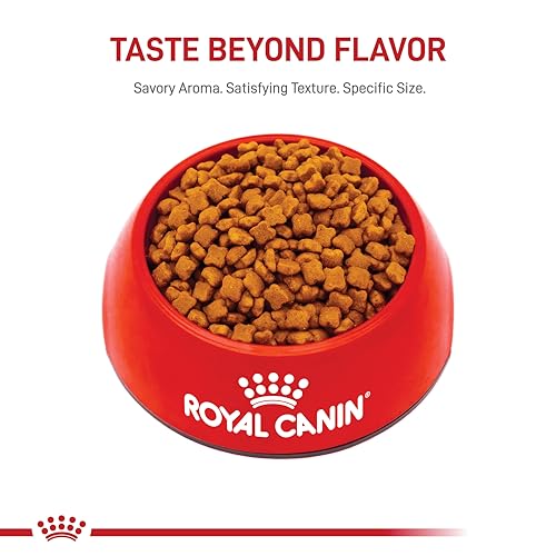 Royal Canin Gatito Calidad y Seguridad en Nutrición