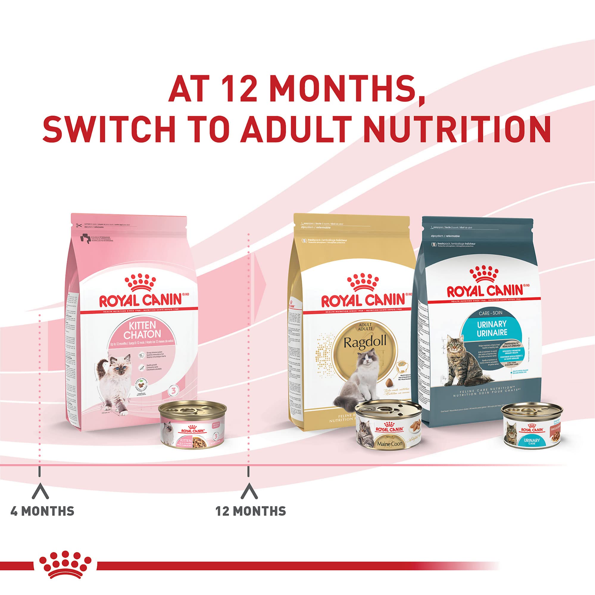 Royal Canin gatito: apoyo al desarrollo de huesos y músculos.