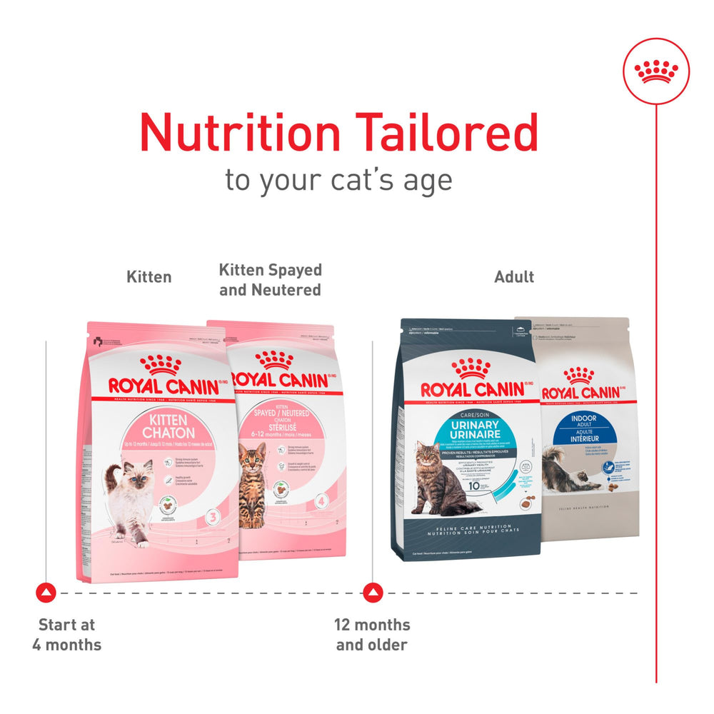 Royal Canin Gatito Fibra y Prebióticos para Digestión