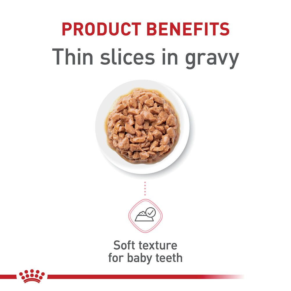 Royal Canin Gatito: lata en salsa para hidratación y sabor.
