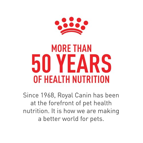 Royal Canin Gatito Sabor Textura Atractiva para Alimentación Diaria