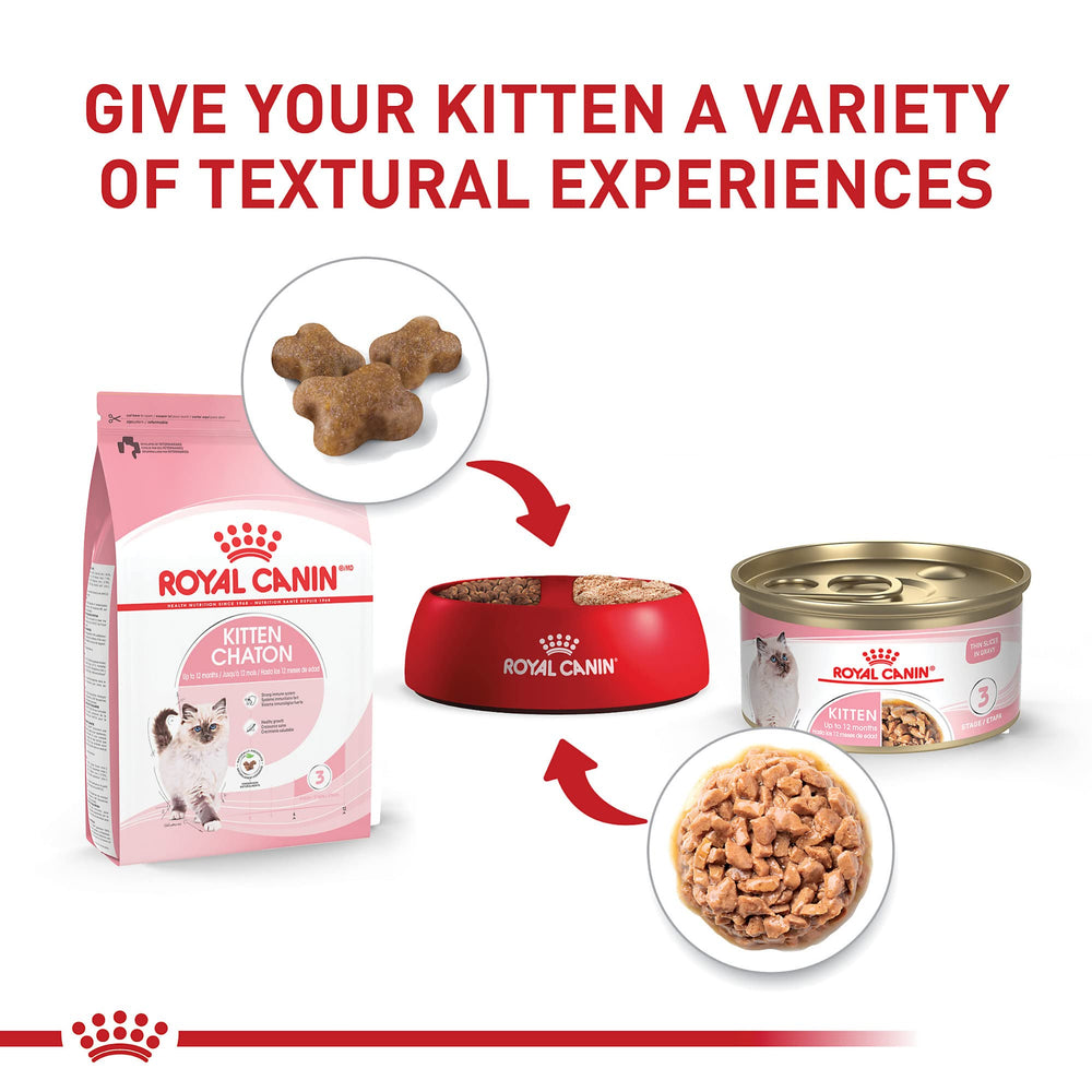 Royal Canin gatito: trozos en gravy que resultan sabrosos para gatitos.