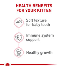 Royal Canin Gatito: textura suave ideal para dientes en desarrollo.