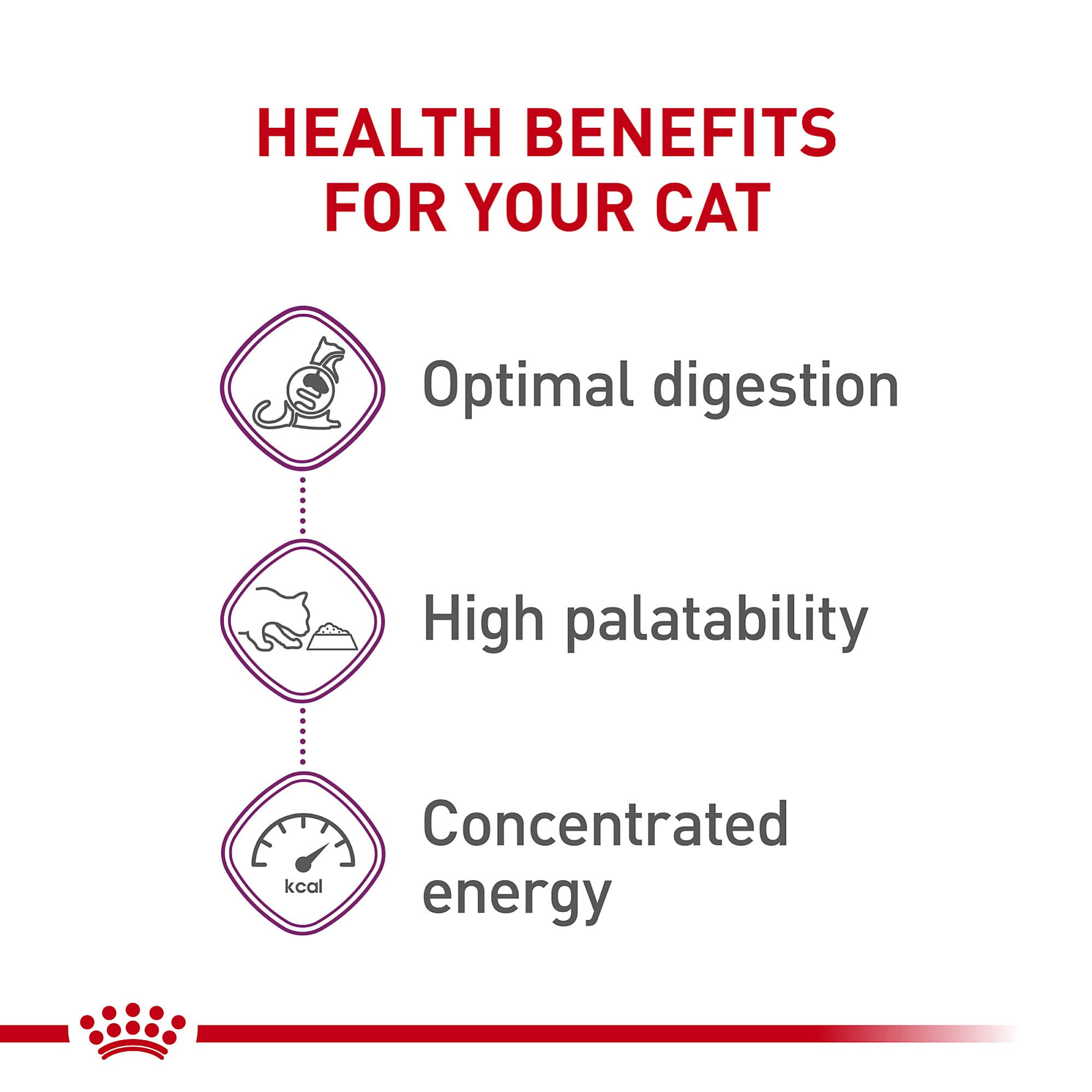 Royal Canin Gato Sensible Digestión, gato comiendo en plato con satisfacción.