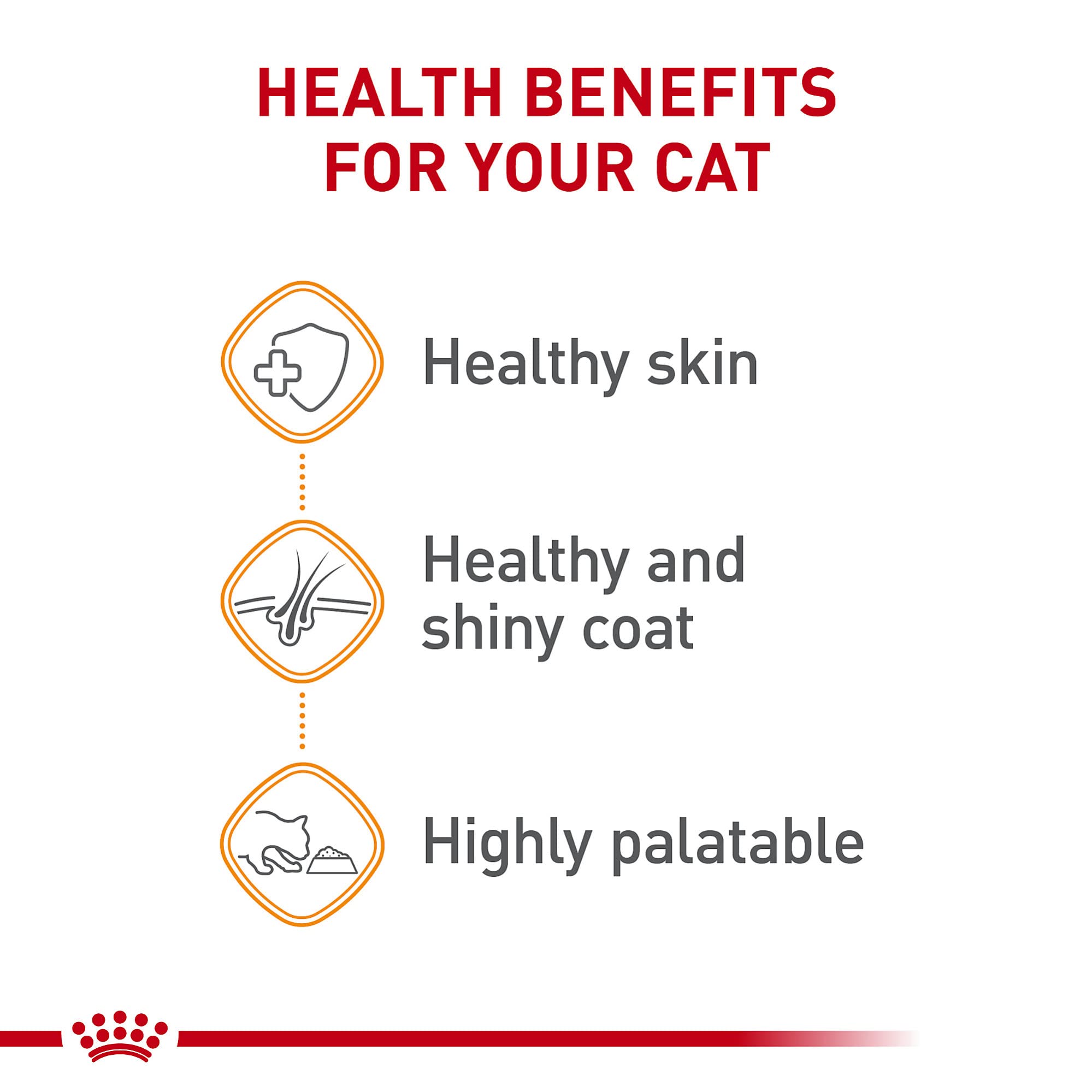 Royal Canin Gato nutrición equilibrada para consumo diario
