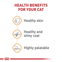 Royal Canin Gato nutrición equilibrada para consumo diario