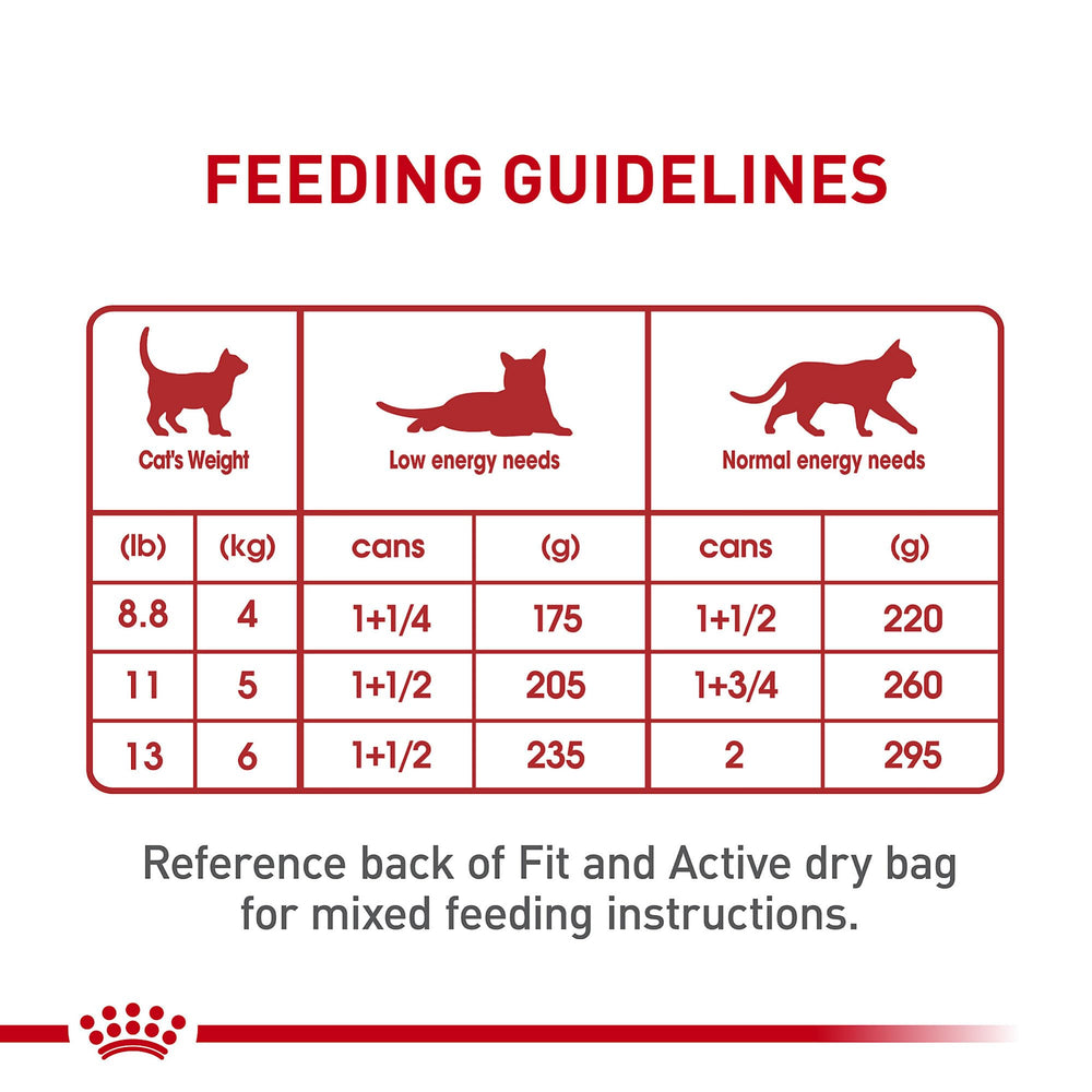 ROYAL CANIN GATO en salsa; equilibrio mineral para bienestar general.