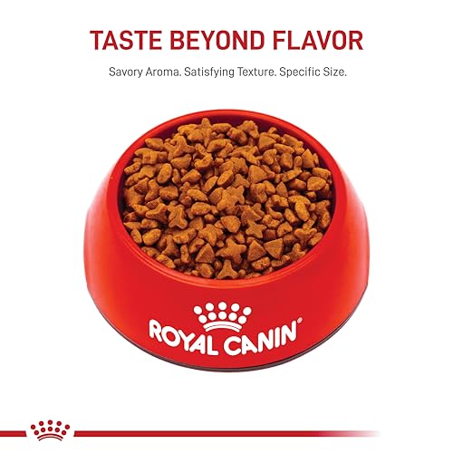 Royal Canin Uso diario para gatos adultos con digestión sensible.