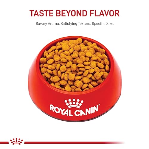 Royal Canin Gatos nutrición completa seca, apta para gatos adultos activos.