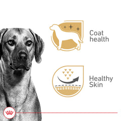Royal Canin gel-perro-adulto-piel-y-brillo: favorece piel saludable y pelaje brillante.