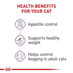 Royal Canin granulado seco para gatos esterilizados, textura atractiva para la saciedad.