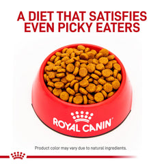 ROYAL CANIN croquetas hidrolizadas de soja para perros adultos, alta digestibilidad y confort digestivo.