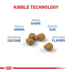 Kibble blando de Royal Canin Indoor 7+ para masticación cómoda