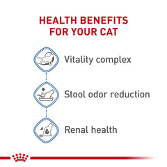 Niveles adaptados de fósforo para apoyar la salud renal en gatos Indoor 7+.