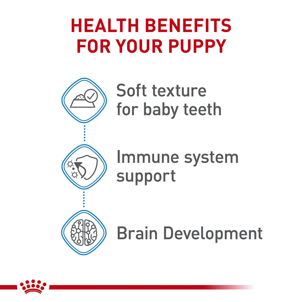 Royal Canin Cachorro Grande - Antioxidantes y vitaminas para apoyar la inmunidad