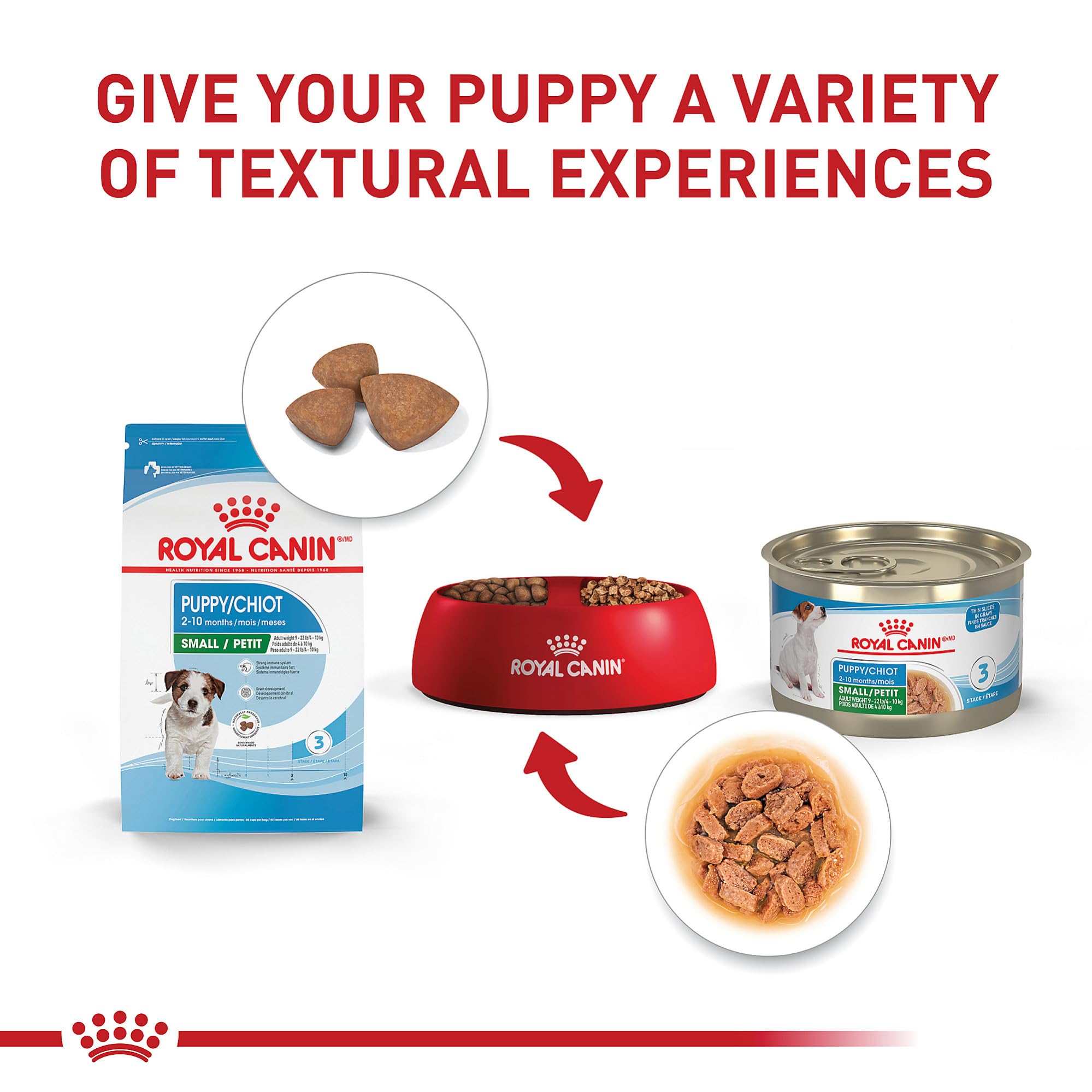 Royal Canin soporte inmunológico y digestivo con antioxidantes y prebióticos.
