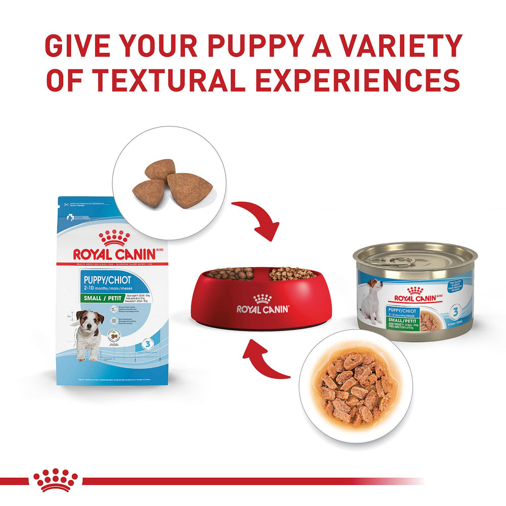 Royal Canin soporte inmunológico y digestivo con antioxidantes y prebióticos.