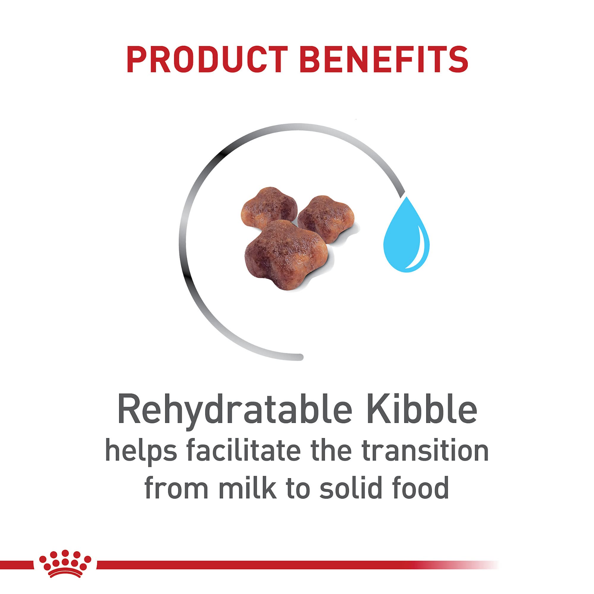 Royal Canin, inmunidad gatitos con antioxidantes para defensas naturales.