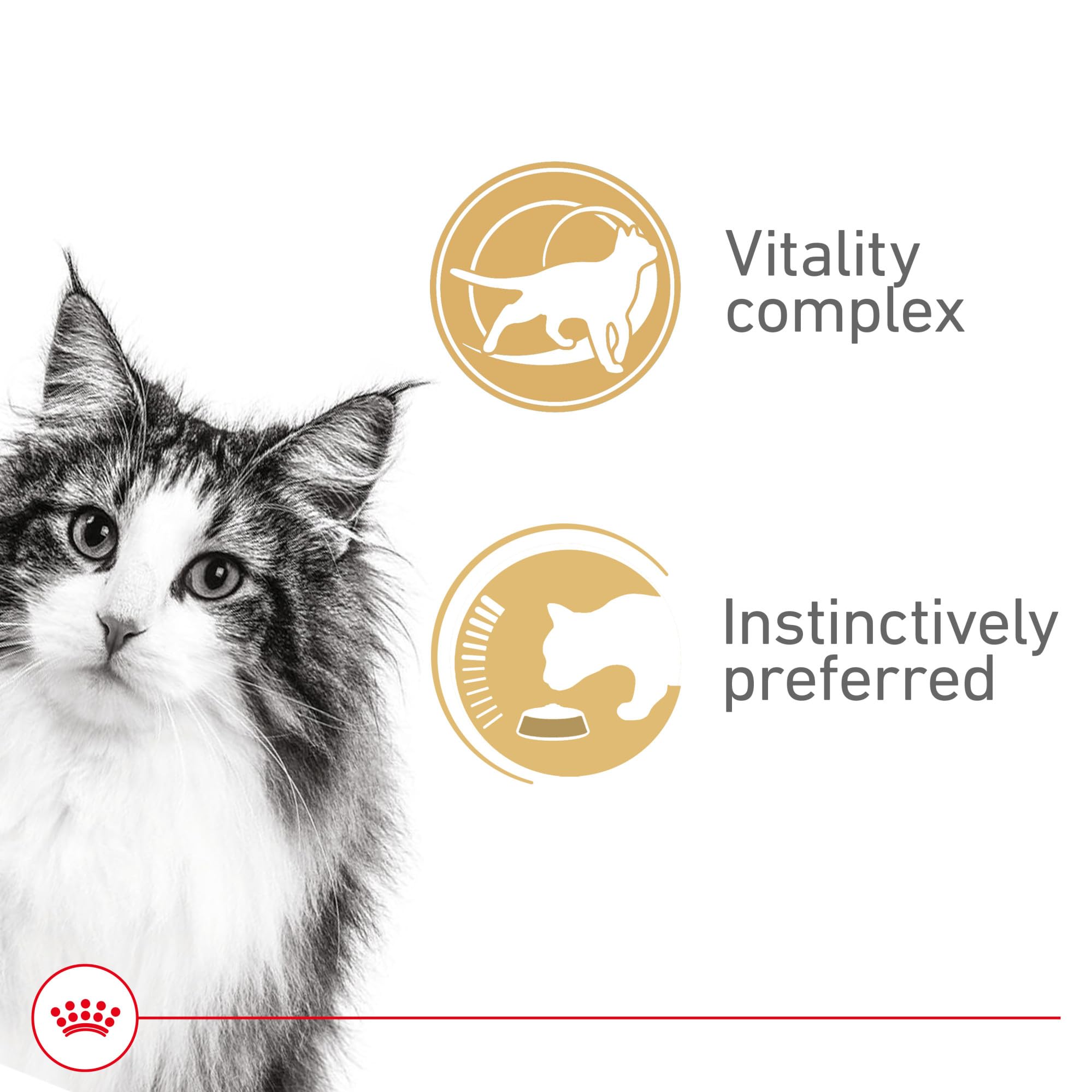 Royal Canin Instinctive 7+ lata abierta, trozos en salsa para gatos senior