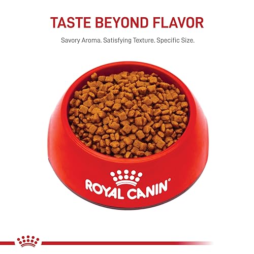 Investigación científica de Royal Canin que respalda nutrición felina enfocada.