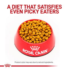 Royal Canin croqueta con textura atractiva para digestión sensible.
